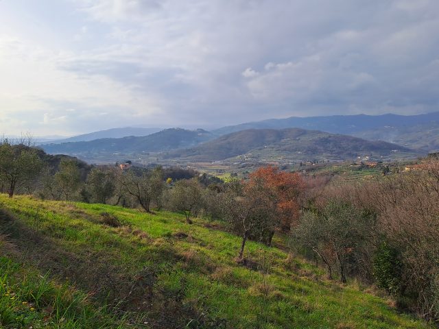 Sentiero CAI 800 Passo Serravalle Pistoiese - Le Rocchine - San Baronto