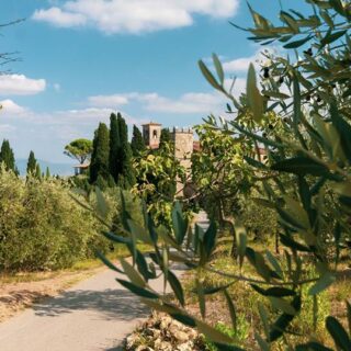 Vinacciano Serravalle Pistoiese