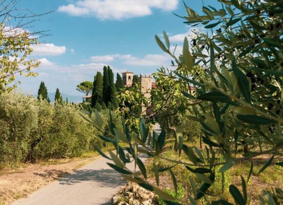 Vinacciano Serravalle Pistoiese