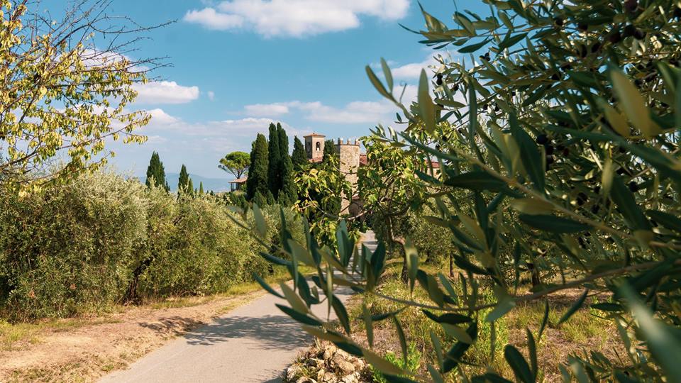 Vinacciano Serravalle Pistoiese